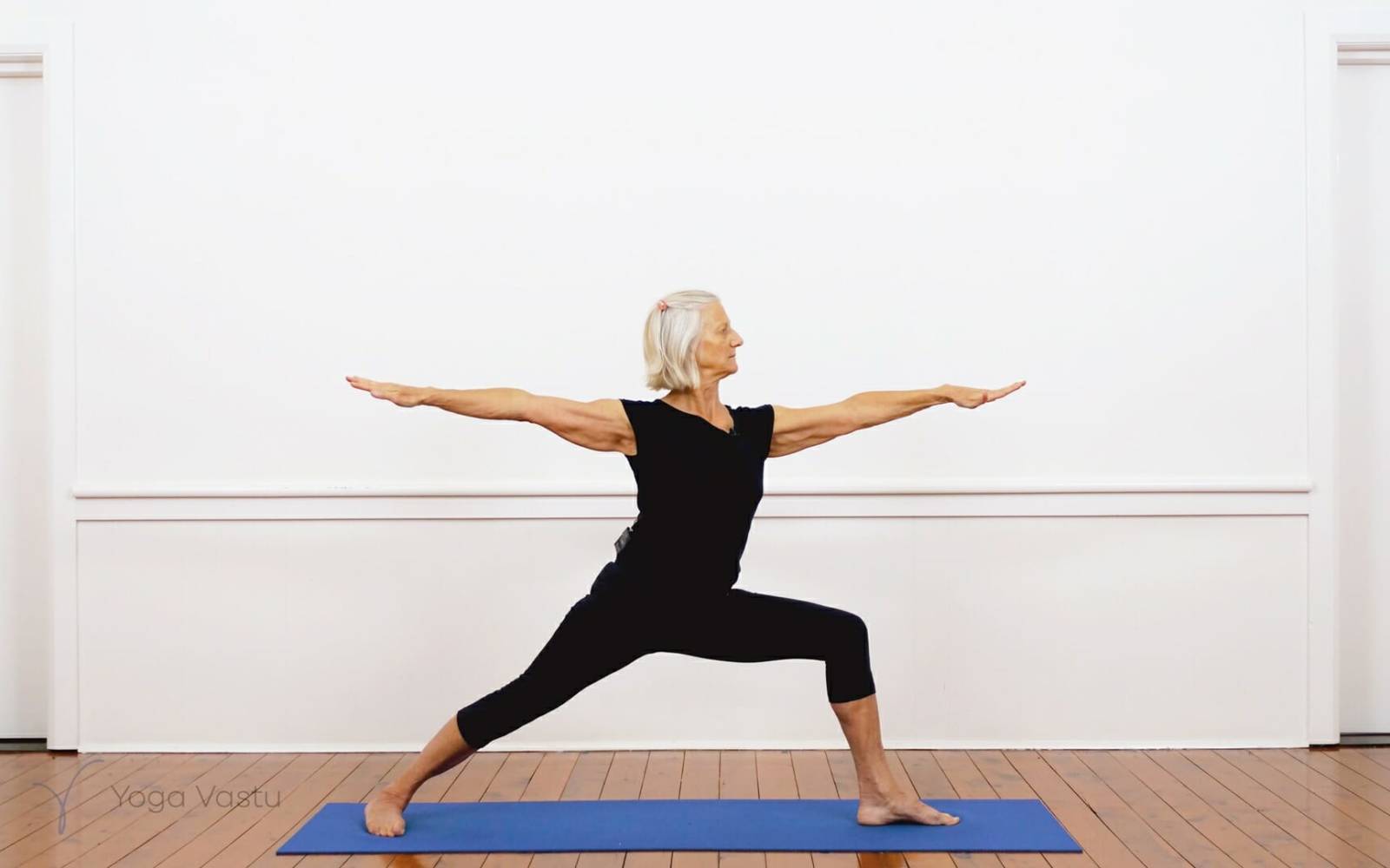 Online Iyengar yoga videos | Iyengar Yoga for Beginners (No Props) Session 3