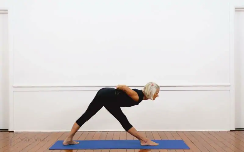 Iyengar yoga video thumbnail: Iyengar Yoga for Beginners (No Props) Session 3