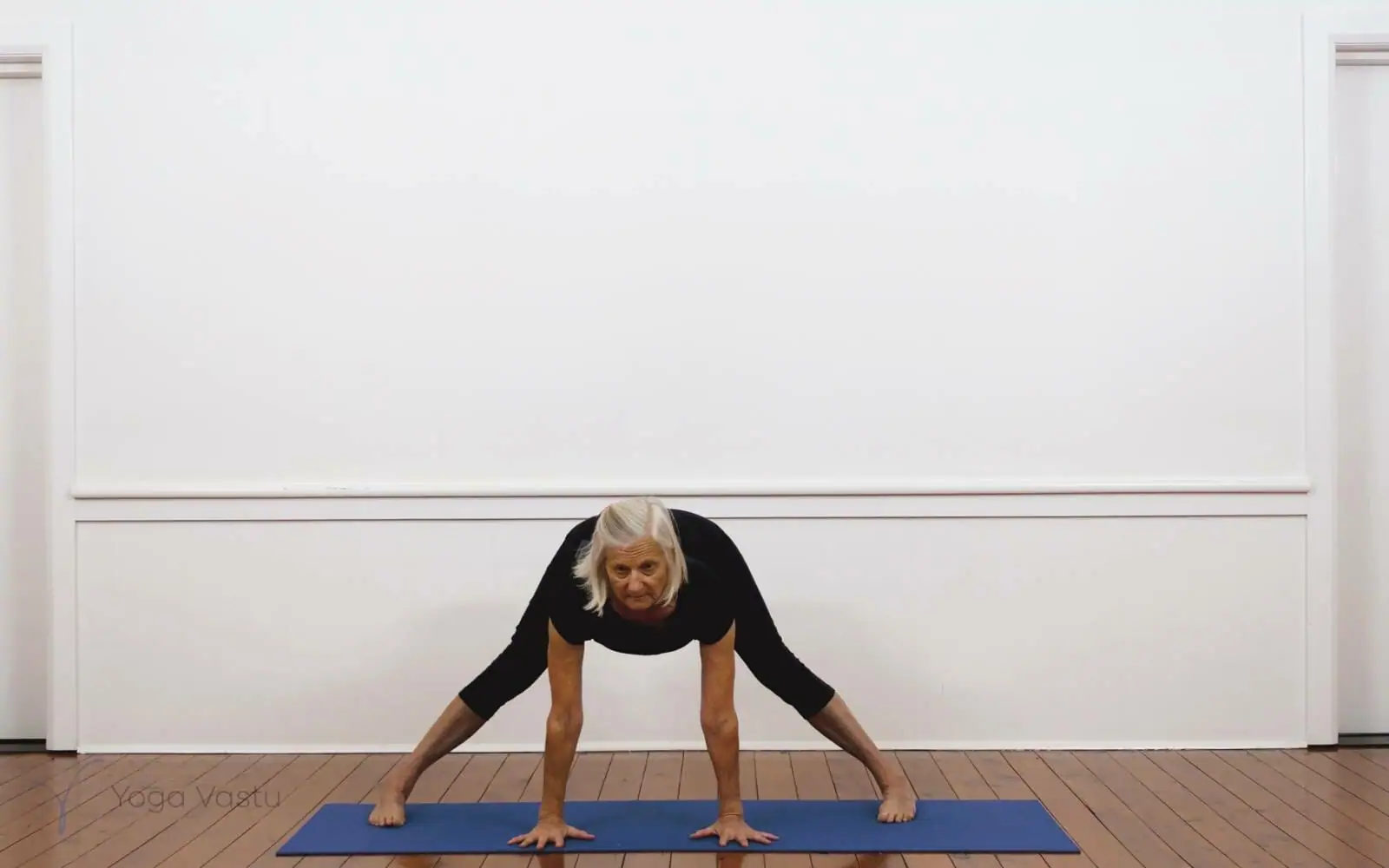 Online Iyengar yoga videos | Iyengar Yoga for Beginners (No Props) Session 3