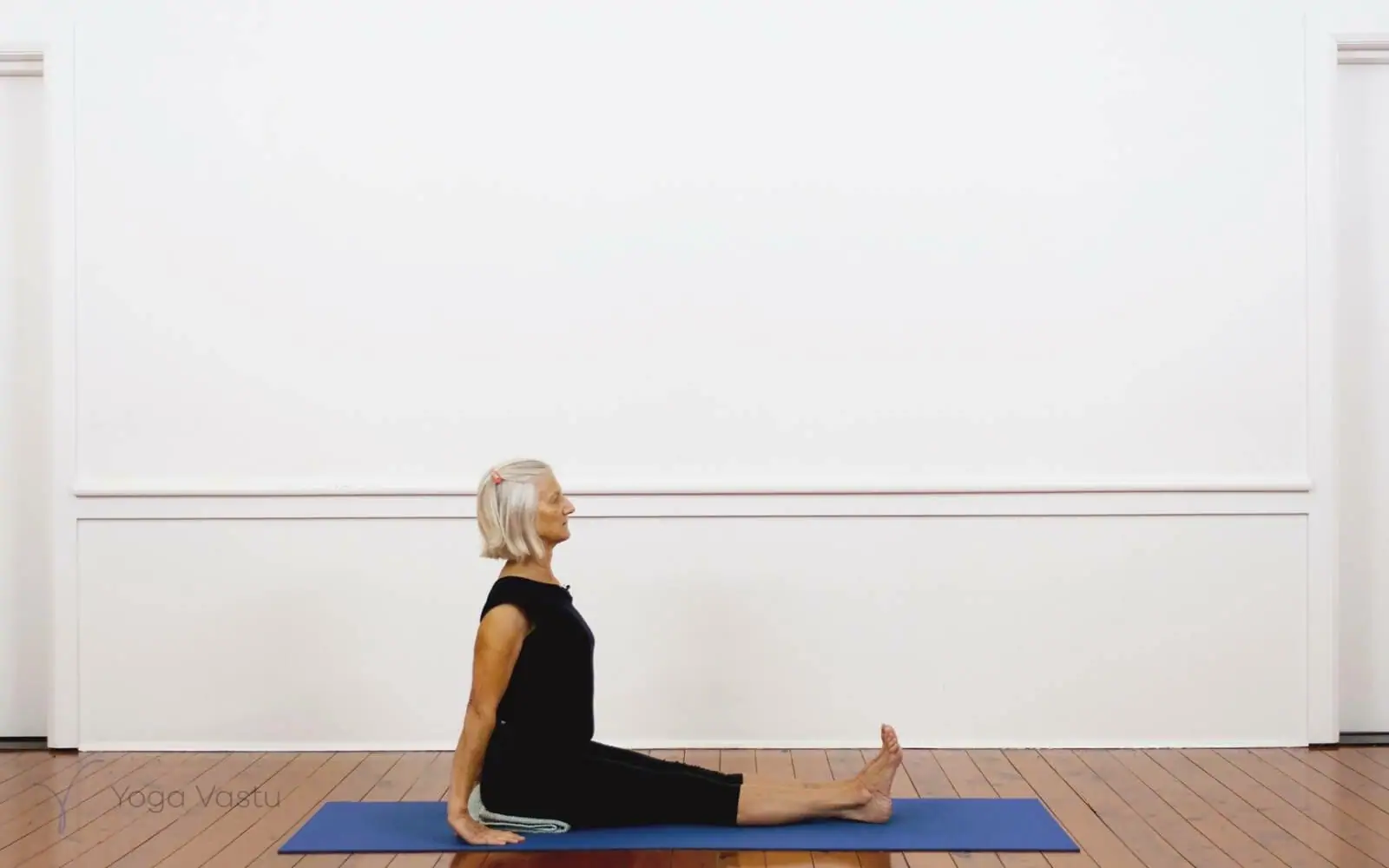 Online Iyengar yoga videos | Iyengar Yoga for Beginners (No Props) Session 3