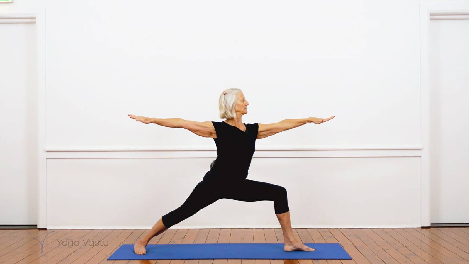 Iyengar Yoga for Beginners (No Props) Session 4