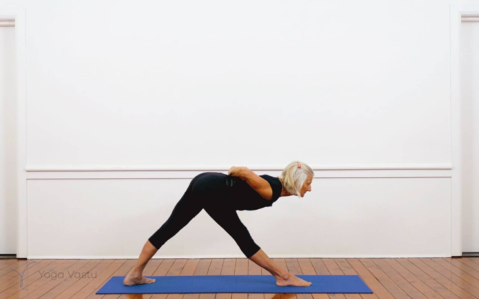Online Iyengar yoga videos | Iyengar Yoga for Beginners (No Props) Session 4