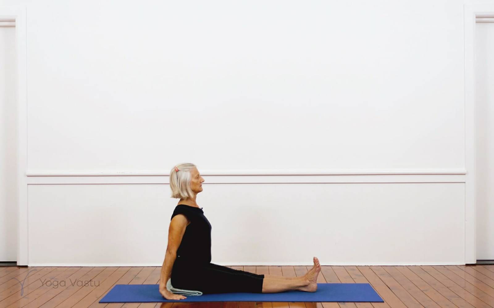 Online Iyengar yoga videos | Iyengar Yoga for Beginners (No Props) Session 4
