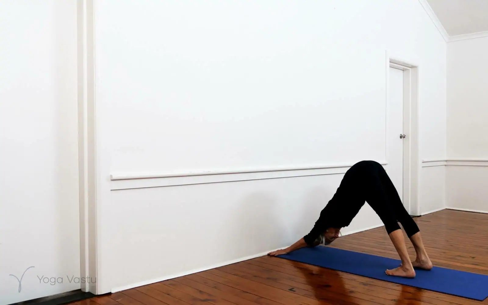 Online Iyengar yoga videos | Iyengar Yoga for Beginners (No Props) Session 6