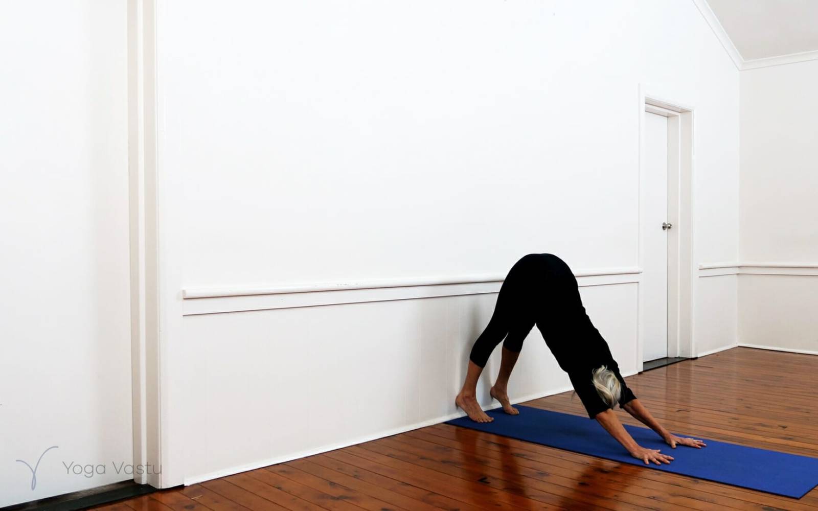 Iyengar Yoga: Body Alignment Through Props – Ananda Hum