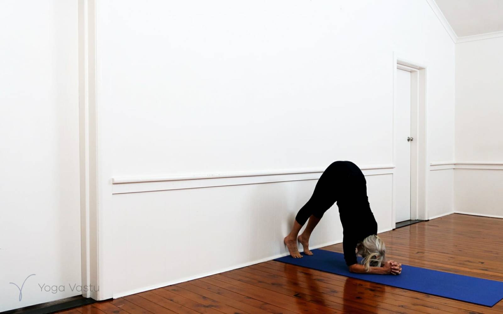 Online Iyengar yoga videos | Iyengar Yoga for Beginners (No Props) Session 6