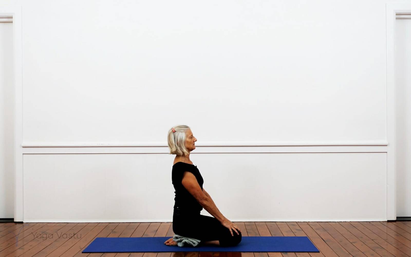 Online Iyengar yoga videos | Iyengar Yoga for Beginners (No Props) Session 6