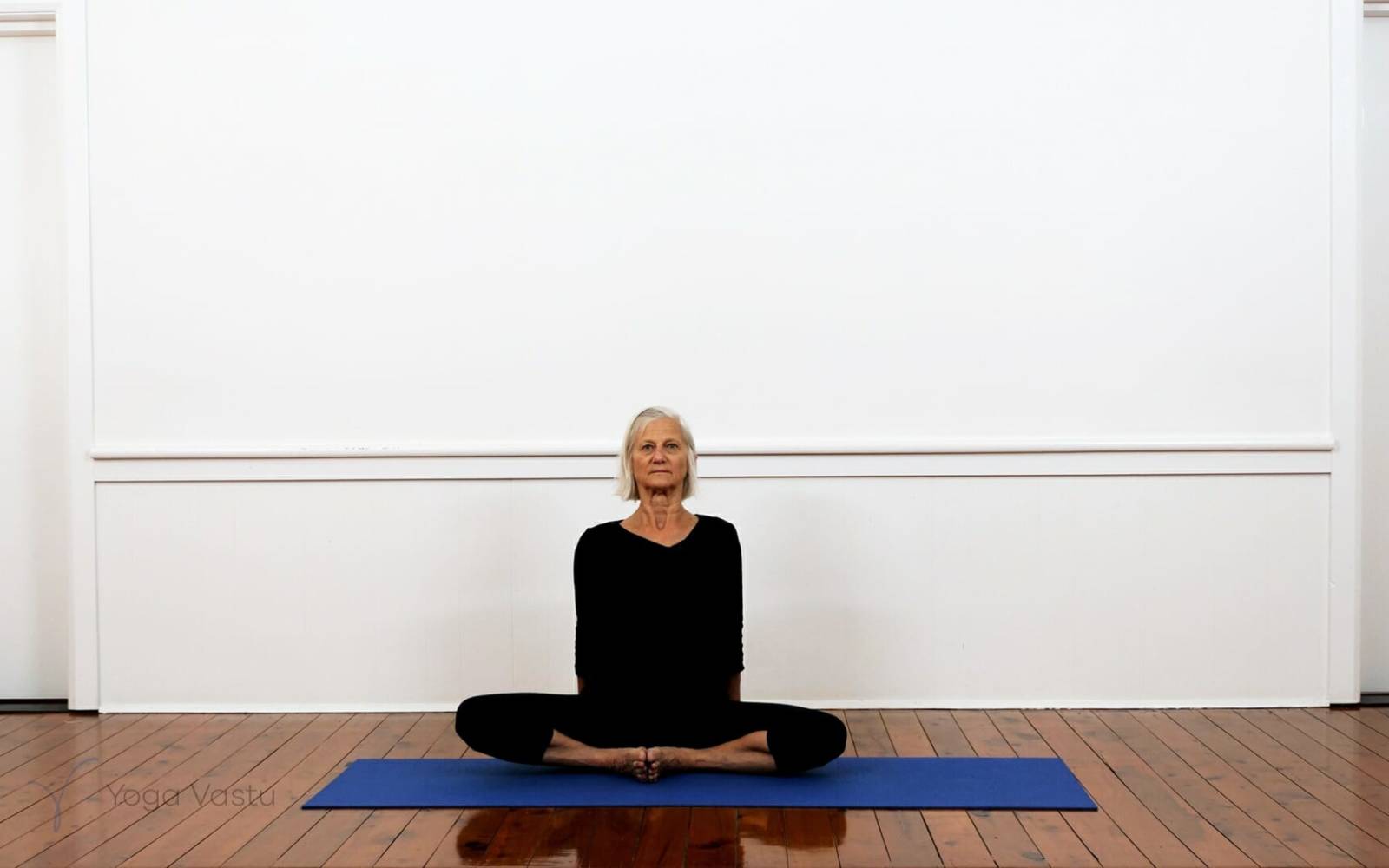 Online Iyengar yoga videos | Iyengar Yoga for Beginners (No Props) Session 6