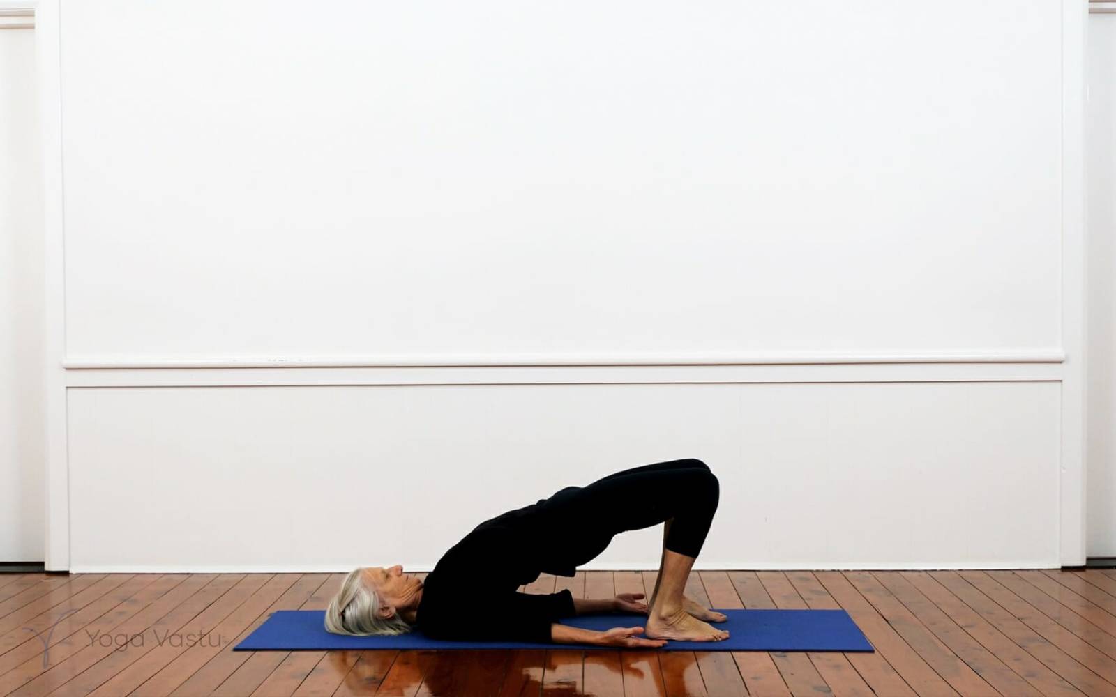 Online Iyengar yoga videos | Iyengar Yoga for Beginners (No Props) Session 6