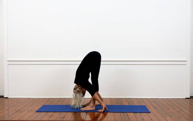 Standing Split Pose (Urdhva Prasarita Eka Padasana) | Iyengar Yoga