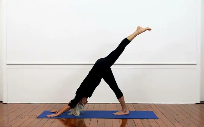 Eka Pada Adho Mukha Svanasana pose