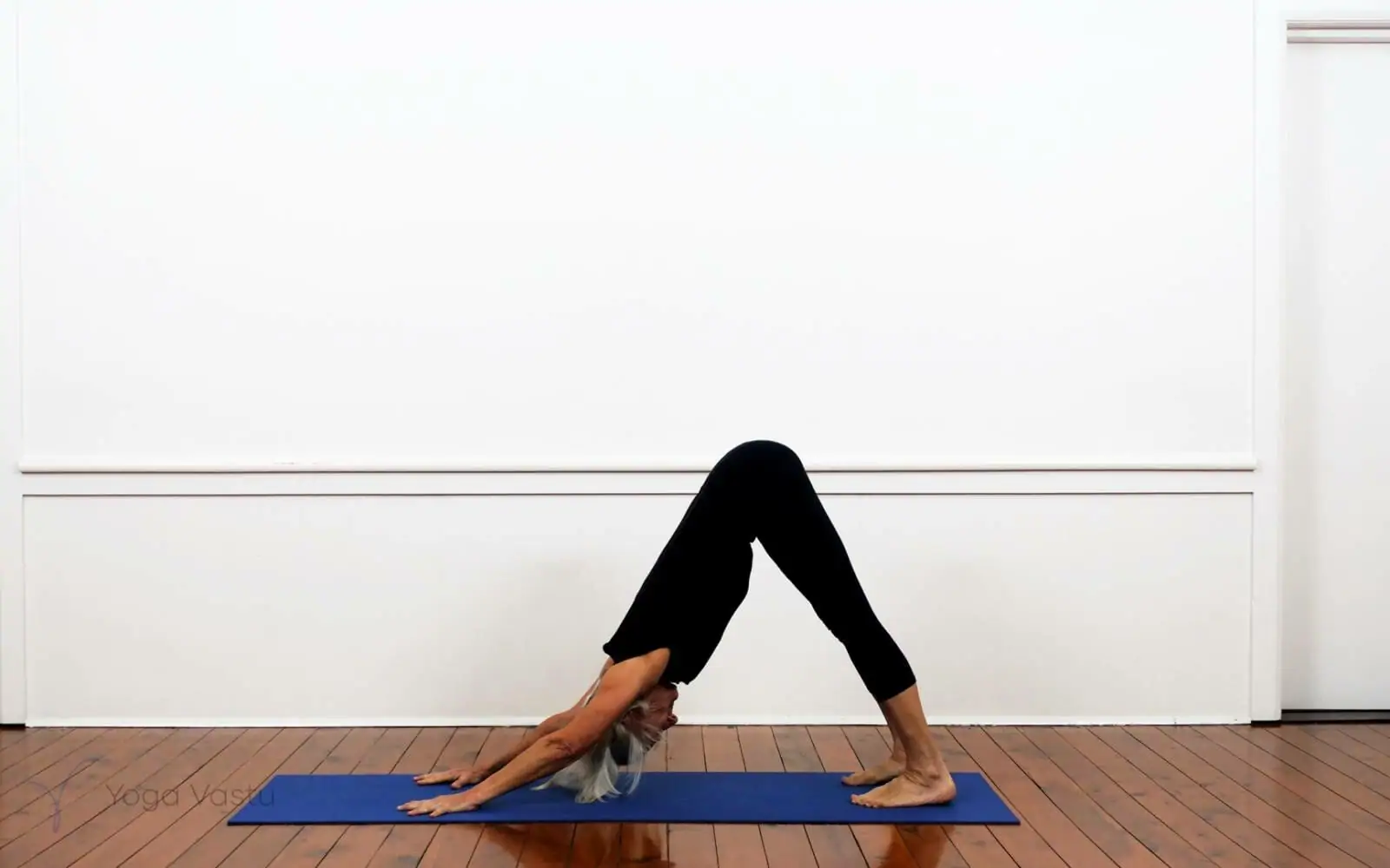 Online Iyengar yoga videos | Building your Inversions