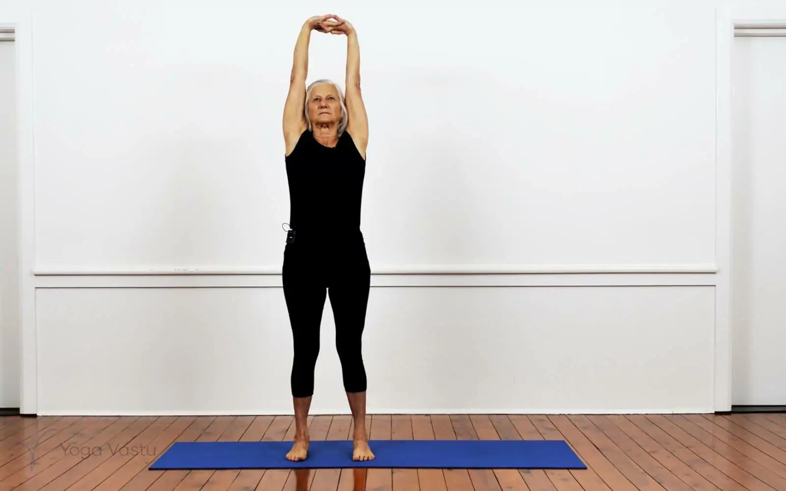 Online Iyengar yoga videos | Building your Inversions
