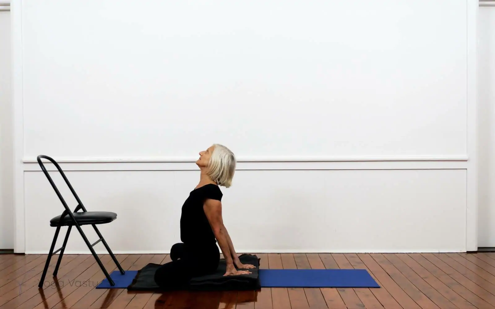 Online Iyengar yoga videos | Building your Inversions