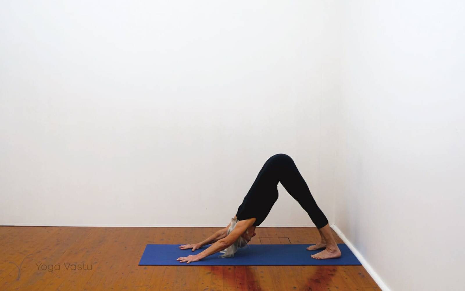 Online Iyengar yoga videos | Building awareness and focus through standing poses and preparatory inversions