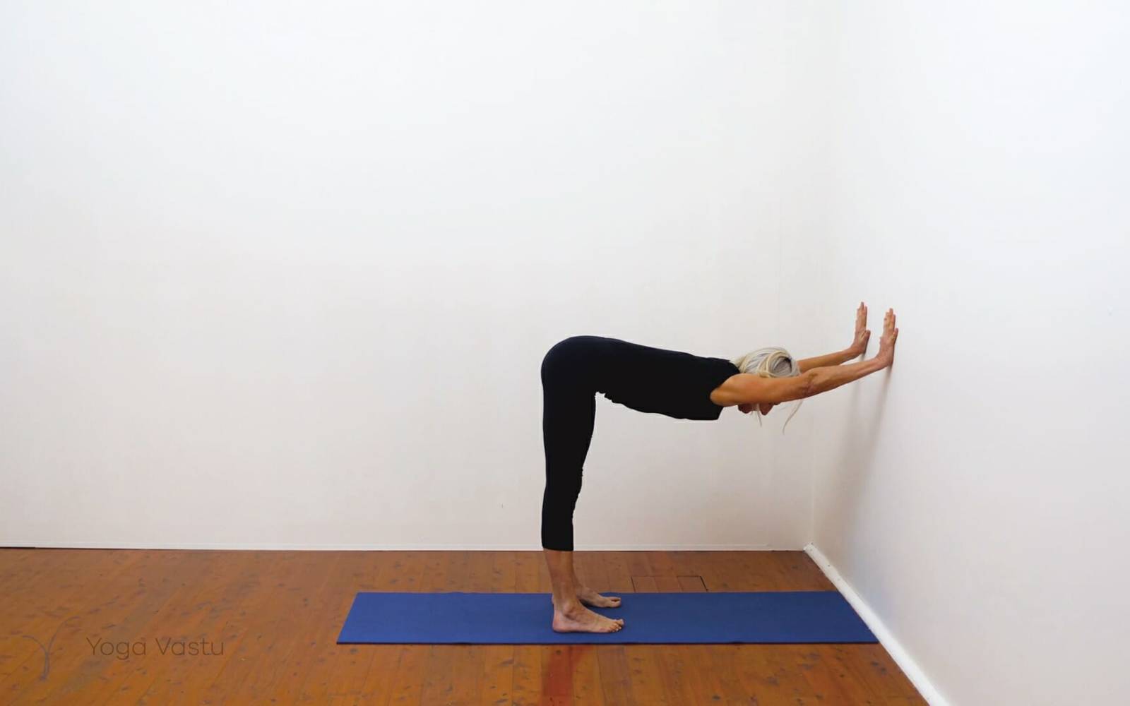 Online Iyengar yoga videos | Building awareness and focus through standing poses and preparatory inversions