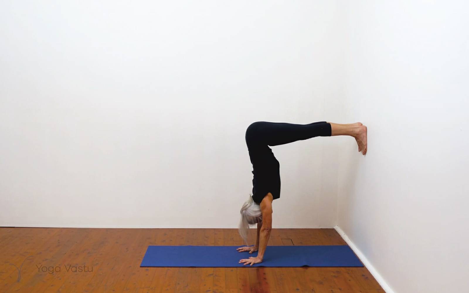 Online Iyengar yoga videos | Building awareness and focus through standing poses and preparatory inversions