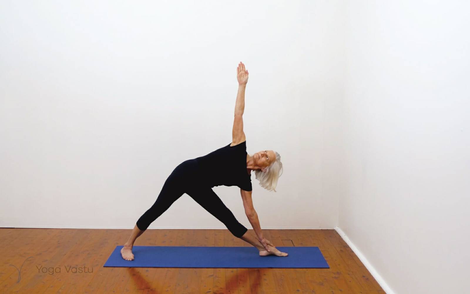 Online Iyengar yoga videos | Building awareness and focus through standing poses and preparatory inversions