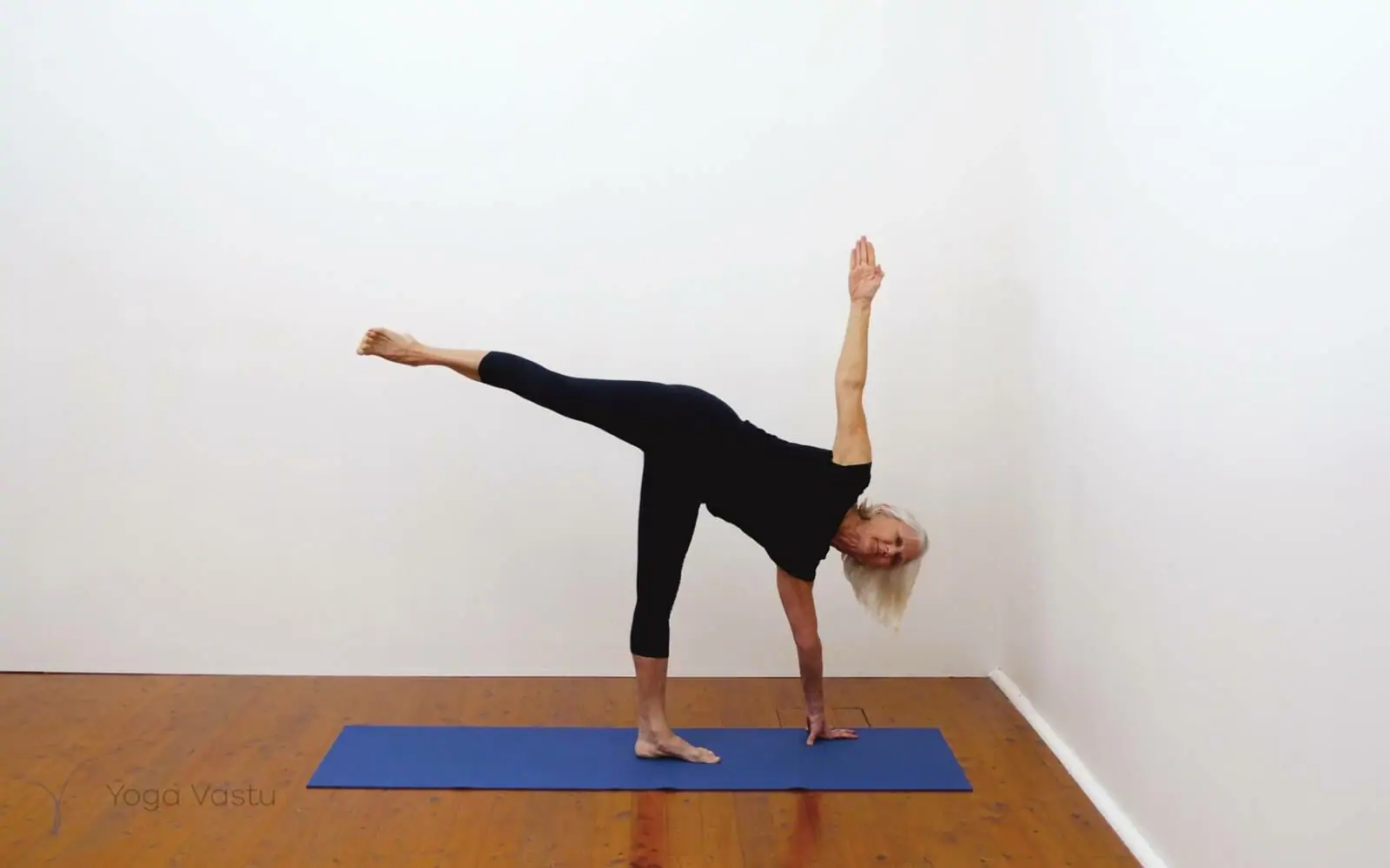 Online Iyengar yoga videos | Building awareness and focus through standing poses and preparatory inversions