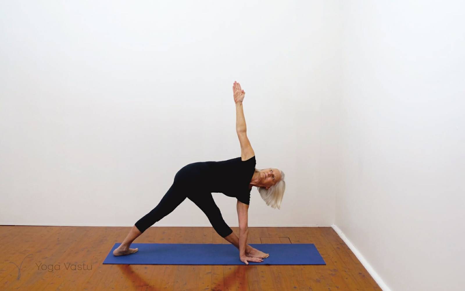 Online Iyengar yoga videos | Building awareness and focus through standing poses and preparatory inversions