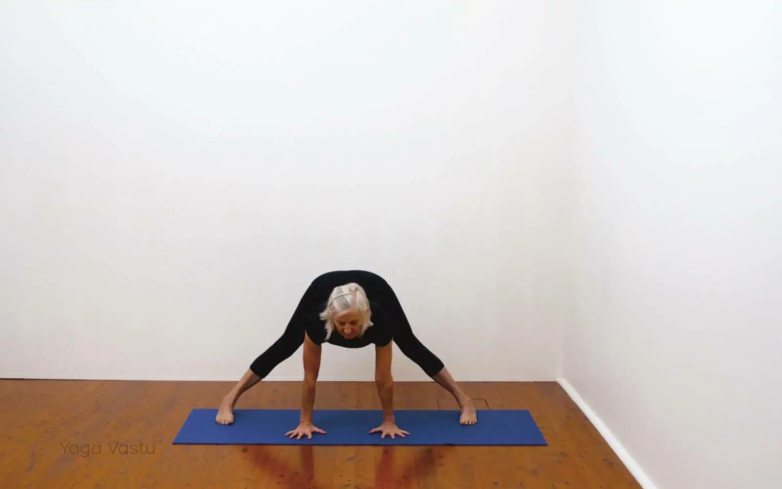 Online Iyengar yoga videos | Building awareness and focus through standing poses and preparatory inversions