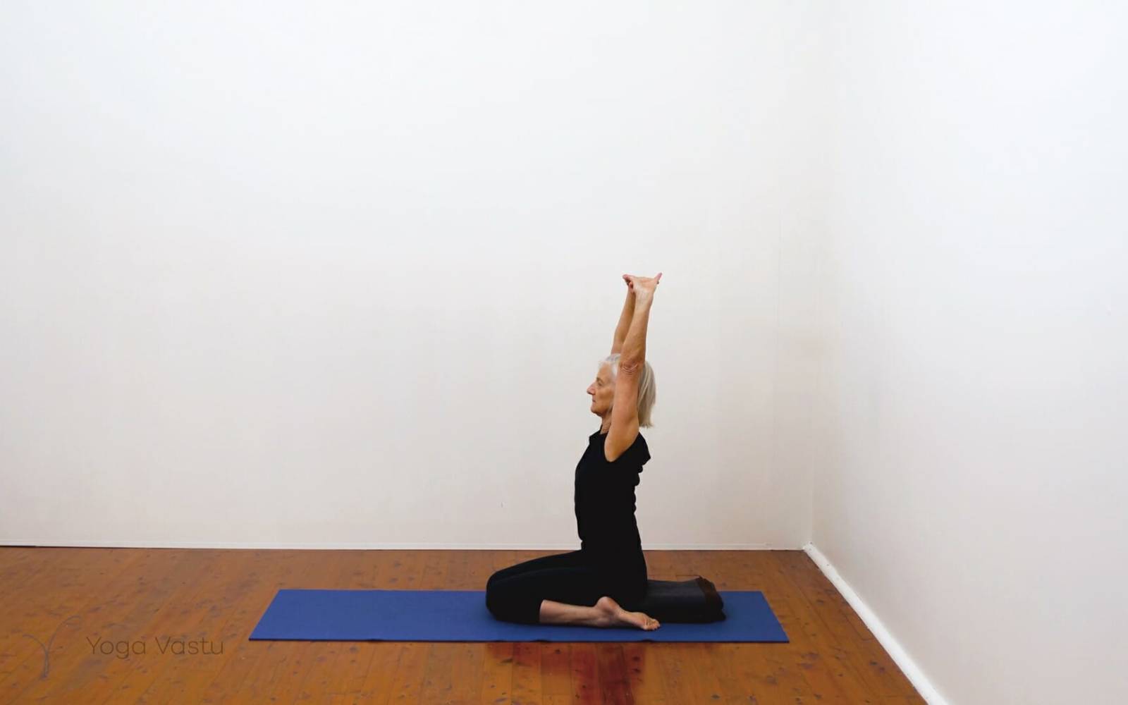 Online Iyengar yoga videos | Building awareness and focus through standing poses and preparatory inversions