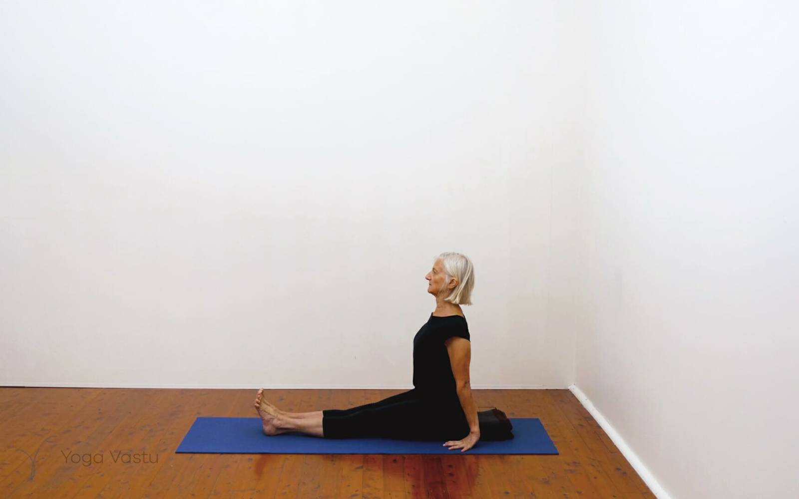 Online Iyengar yoga videos | Building awareness and focus through standing poses and preparatory inversions