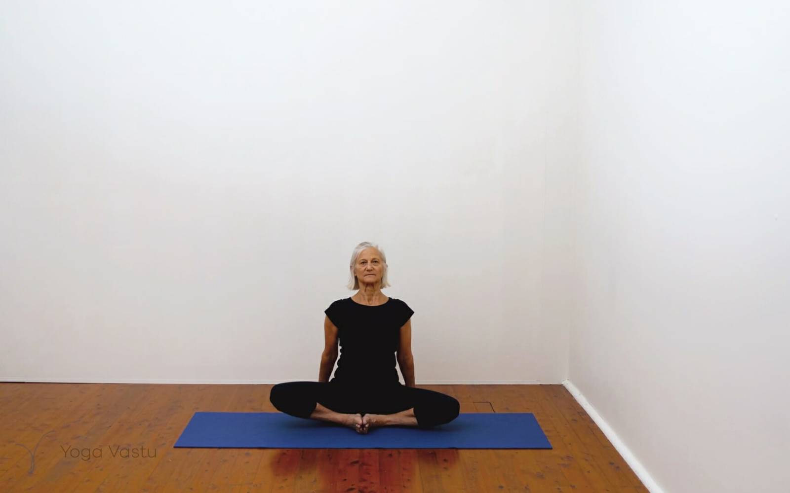 Online Iyengar yoga videos | Building awareness and focus through standing poses and preparatory inversions
