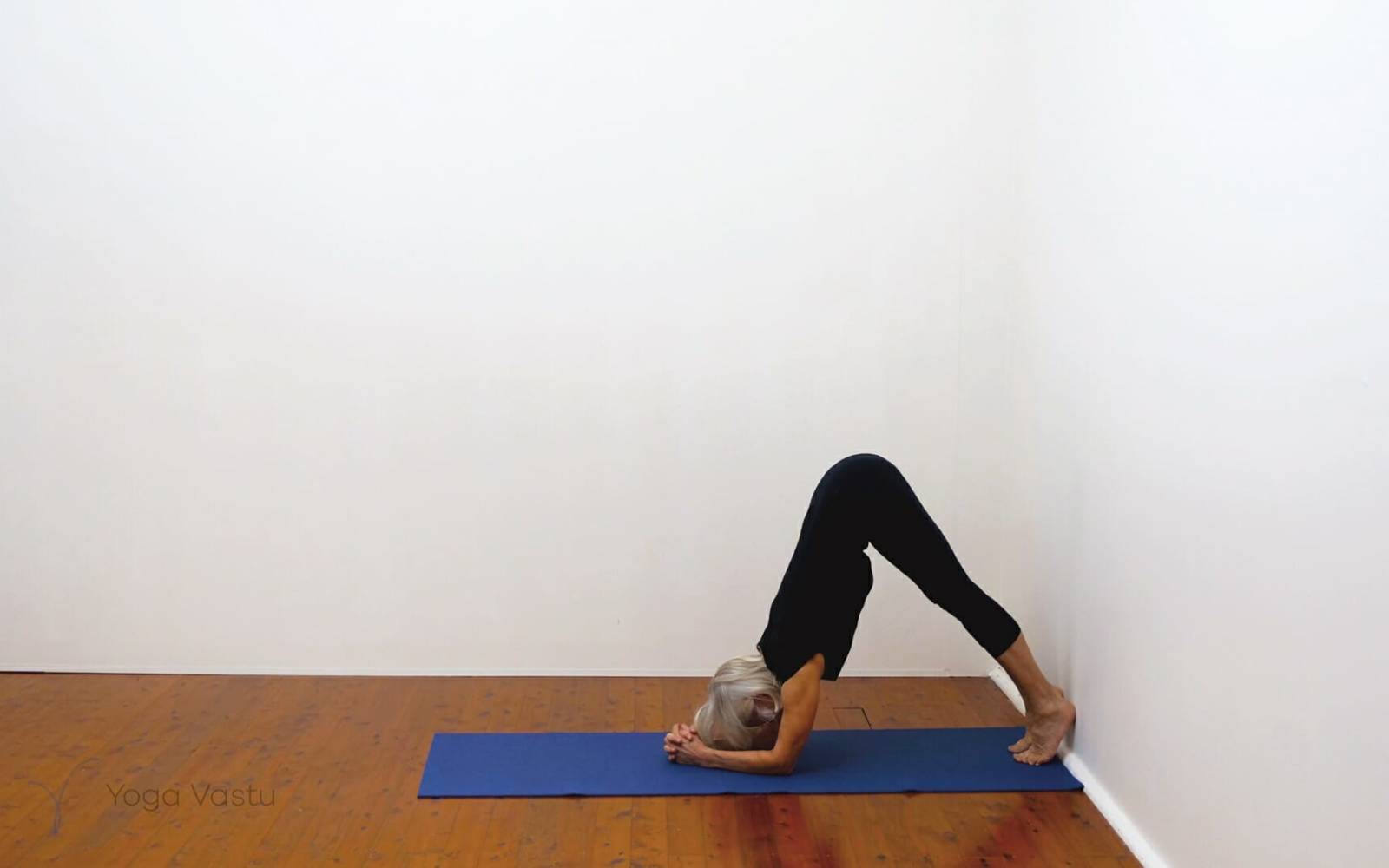 Online Iyengar yoga videos | Building awareness and focus through standing poses and preparatory inversions