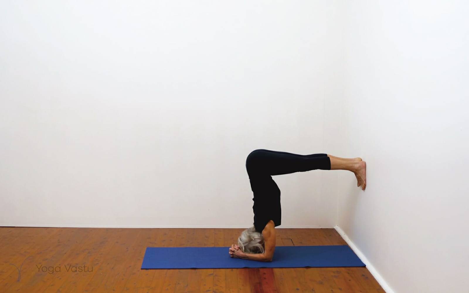 Online Iyengar yoga videos | Building awareness and focus through standing poses and preparatory inversions
