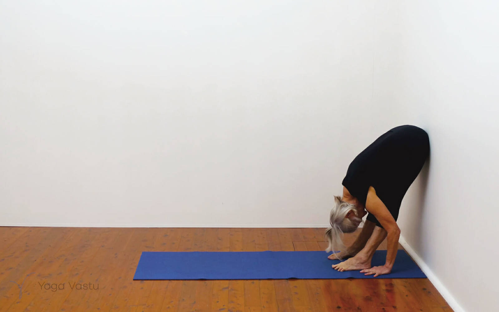Online Iyengar yoga videos | Building strength and flexibility with support