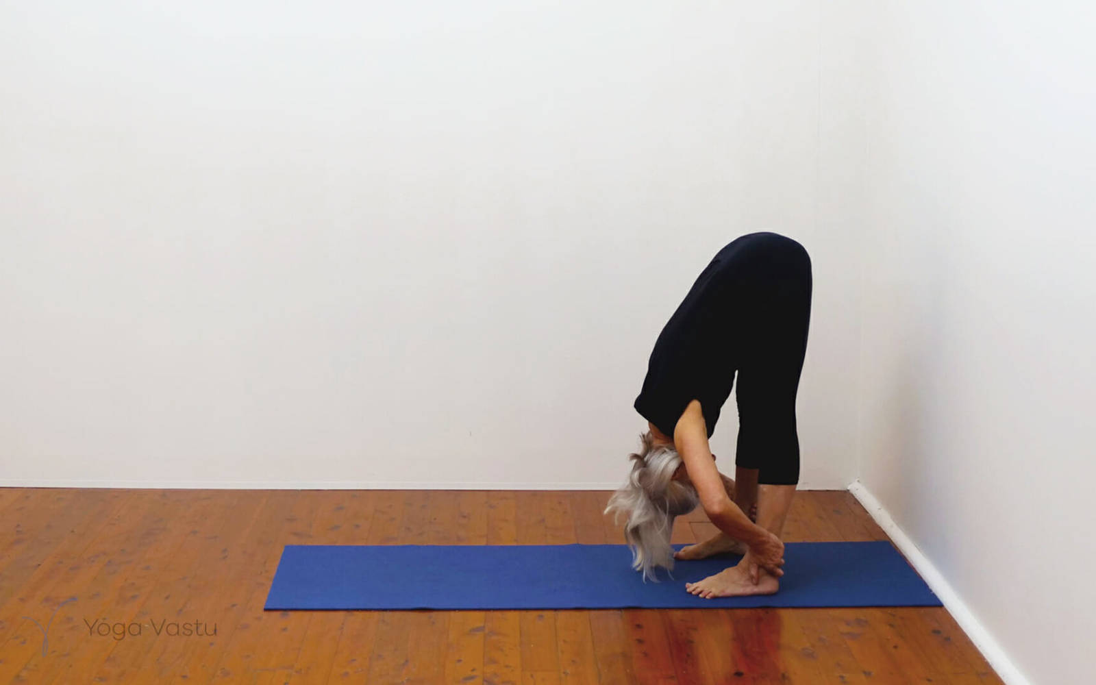 Online Iyengar yoga videos | Building strength and flexibility with support