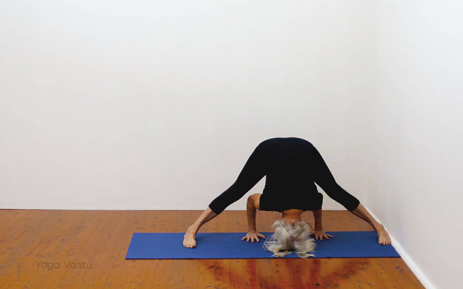 Online Iyengar yoga videos | Building strength and flexibility with support