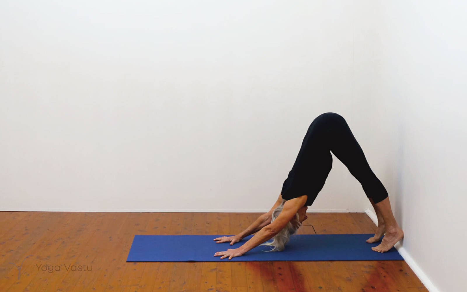 Online Iyengar yoga videos | Building strength and flexibility with support