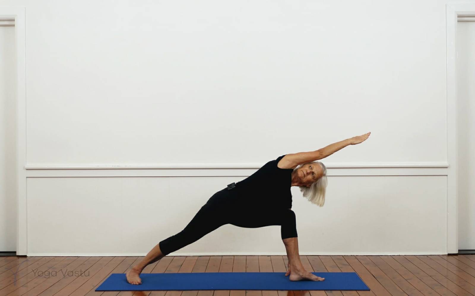 Online Iyengar yoga videos | Iyengar Yoga for Beginners (No Props) Session 5