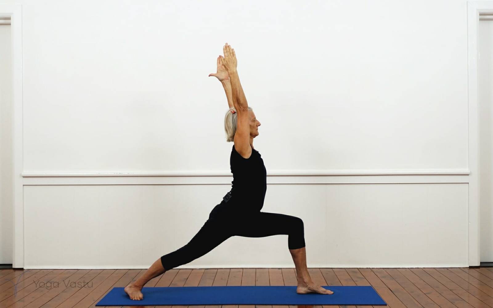 Online Iyengar yoga videos | Iyengar Yoga for Beginners (No Props) Session 5