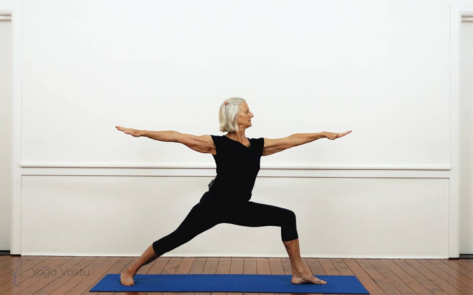 Online Iyengar yoga videos | Iyengar Yoga for Beginners (No Props) Session 5