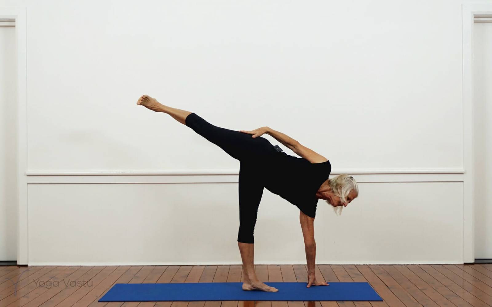 Online Iyengar yoga videos | Iyengar Yoga for Beginners (No Props) Session 5