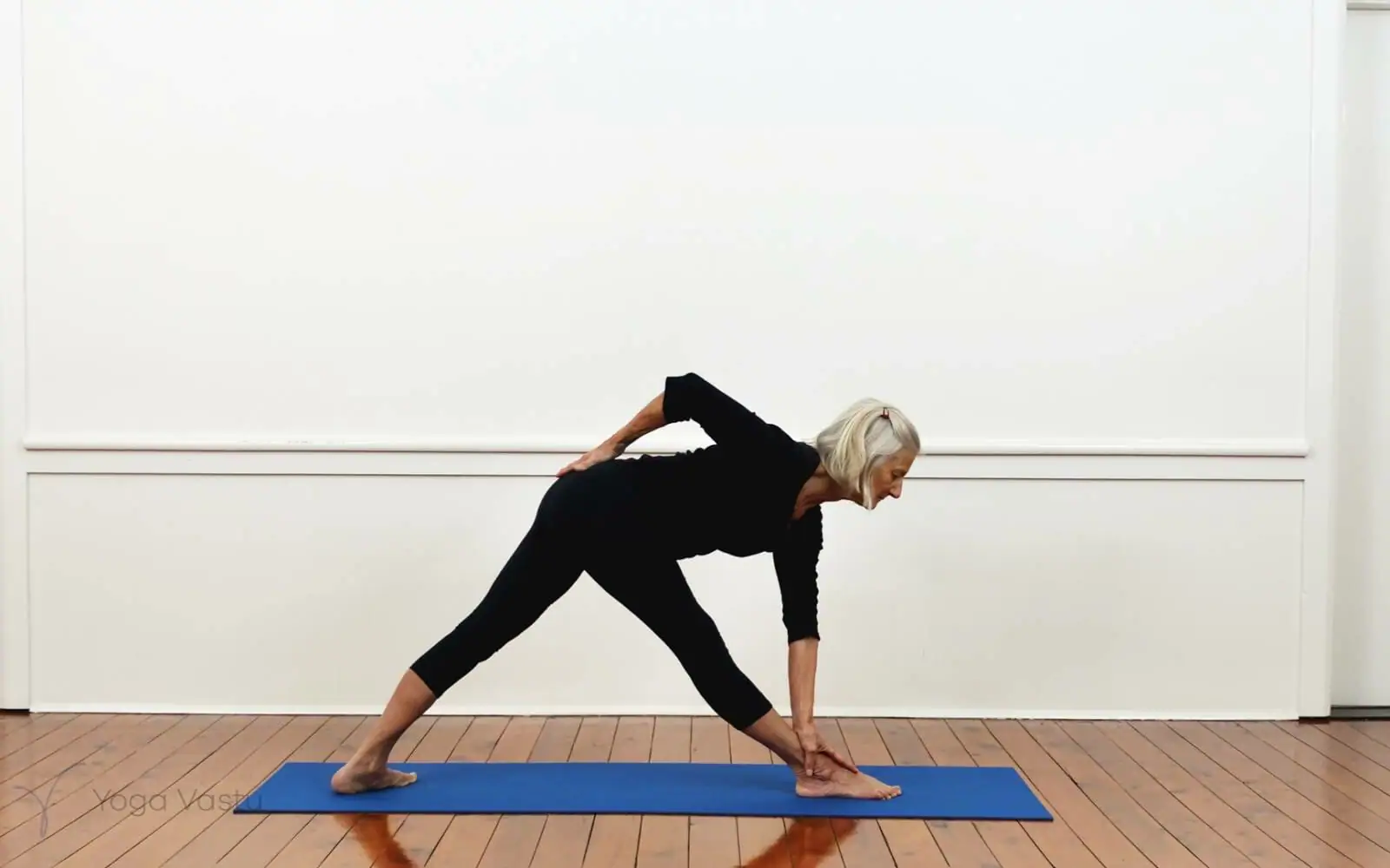 Easy arm balancing poses - Iyengar Yoga - YouTube