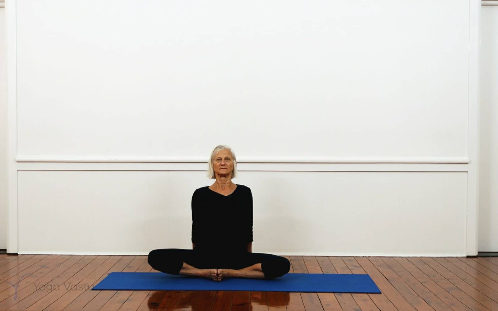 Online Iyengar yoga videos | Iyengar Yoga for Beginners (No Props) Session 5