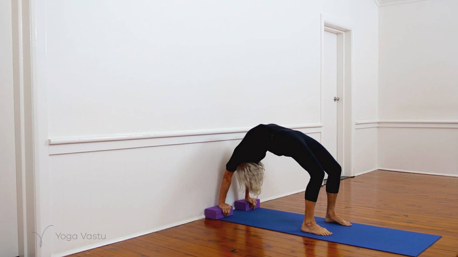 Dynamic backbend session for general level students (218)
