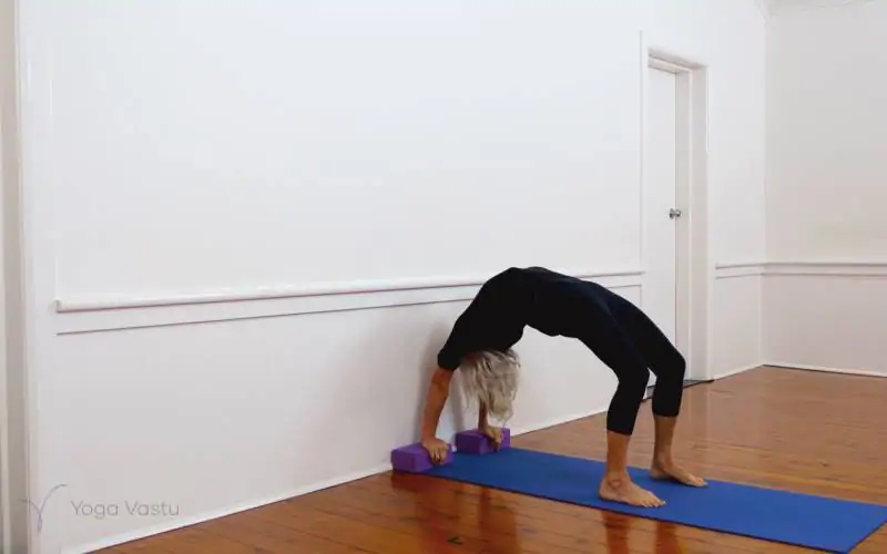 Iyengar yoga video thumbnail: Dynamic backbend session for general level students (218)