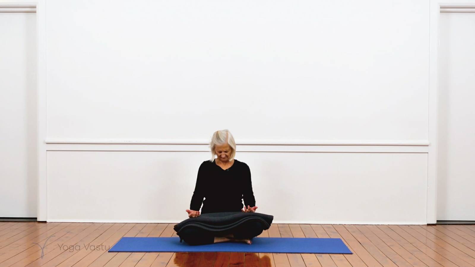 Restorative and pranayama for experienced students (419)