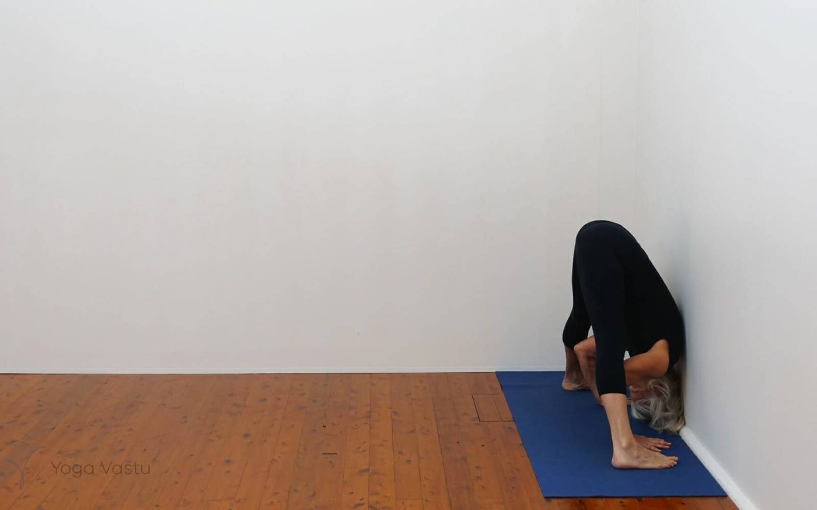 Online Iyengar yoga videos | Short restorative and nerve quietening sequence