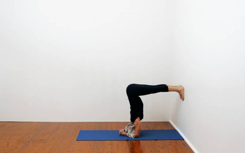 Iyengar yoga video thumbnail: Dynamic short sequence to increase energy and motivation