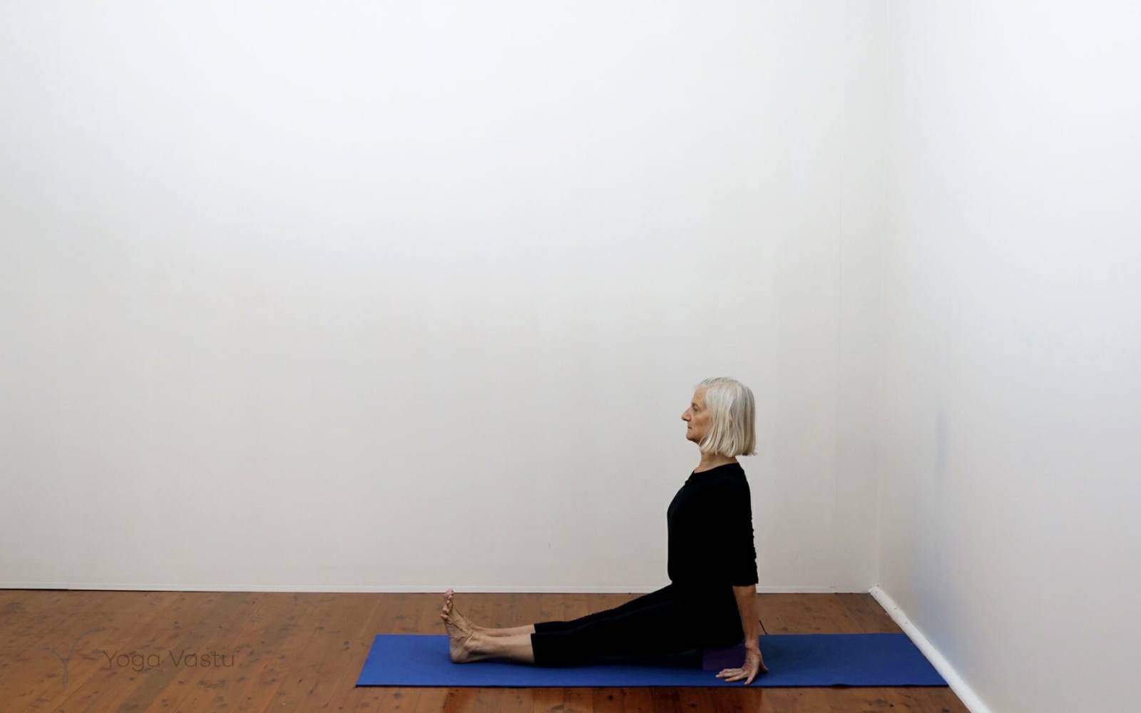 Online Iyengar yoga videos | Short Post-Exercise Session