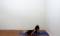 Iyengar yoga video thumbnail: Short Post-Exercise Session