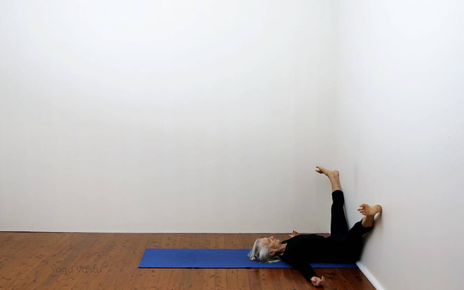 Online Iyengar yoga videos | Short Post-Exercise Session