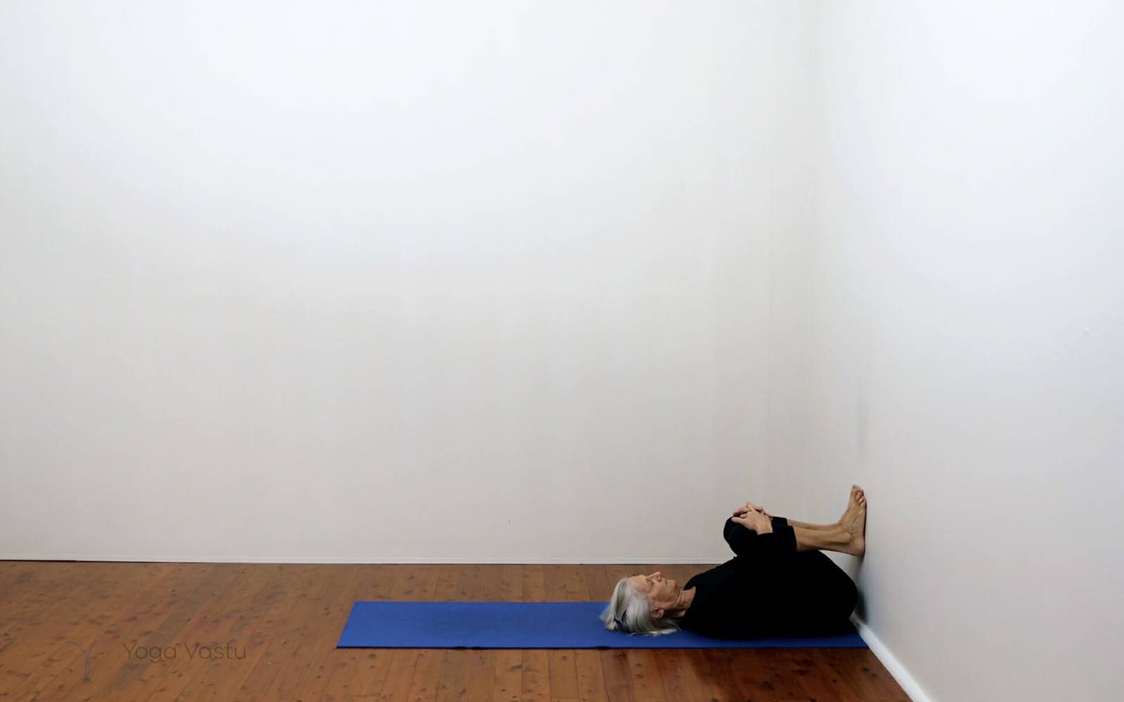 Online Iyengar yoga videos | Short Post-Exercise Session