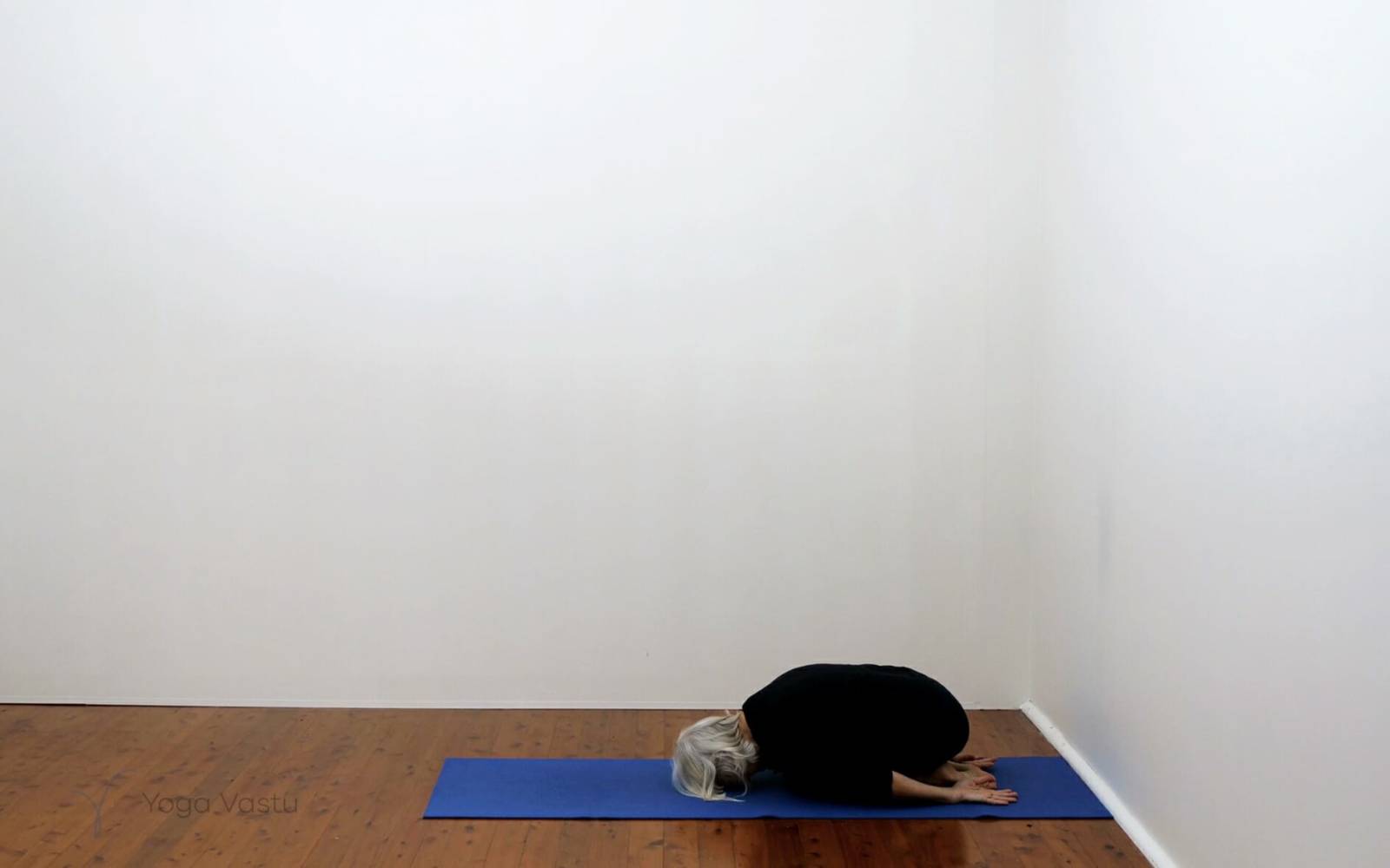 Online Iyengar yoga videos | Short Post-Exercise Session